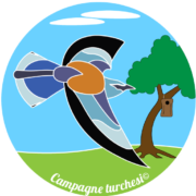 logo campagne turchesi