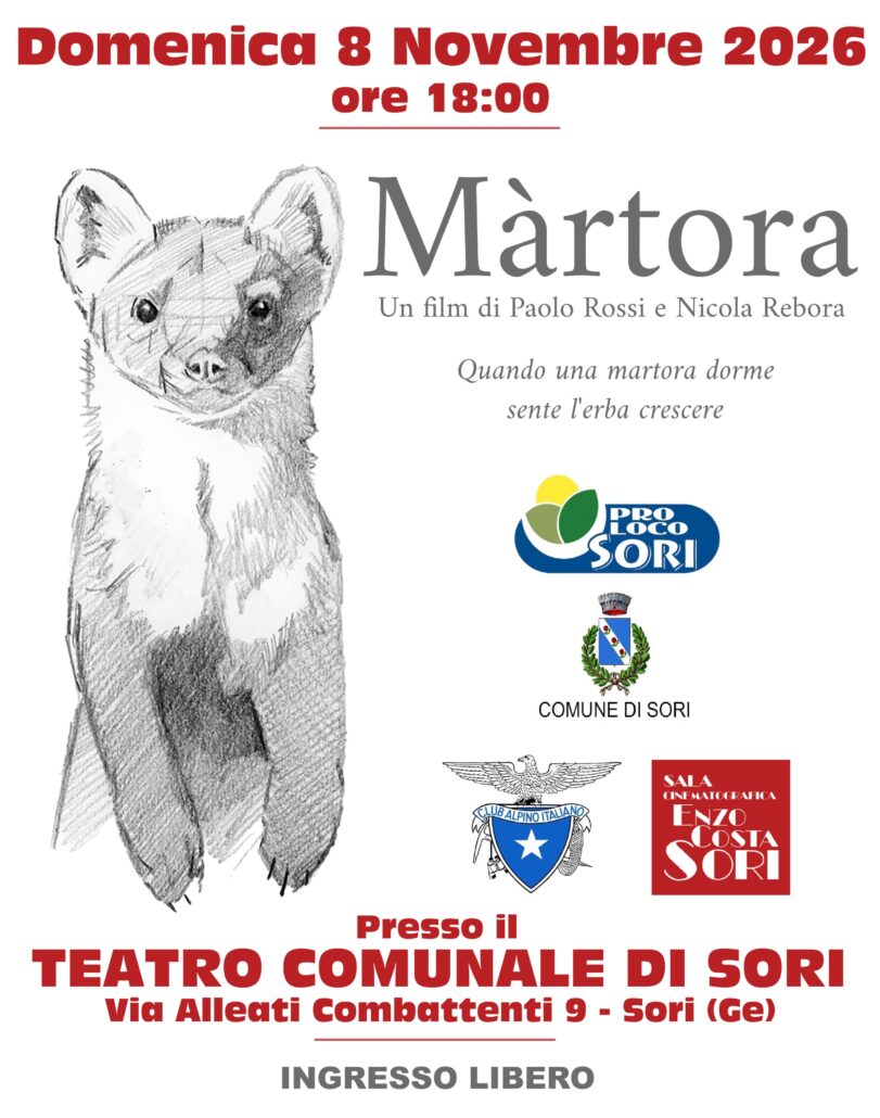 Martora 8 novembre seconda bozza