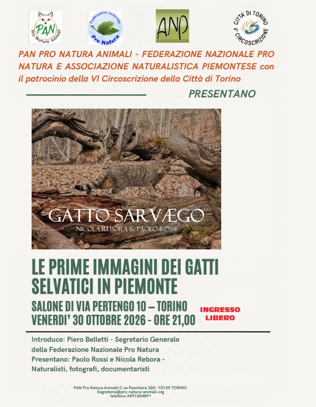 loc def torino